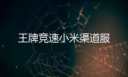王牌竞速小米渠道服下载