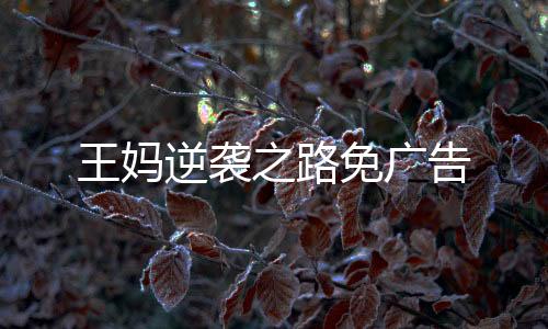 王妈逆袭之路免广告下载