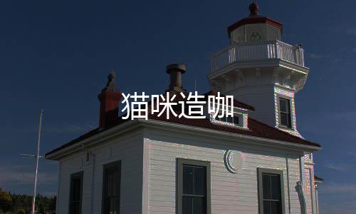 猫咪造咖下载