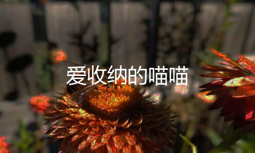 爱收纳的喵喵下载