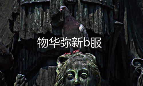 物华弥新b服下载