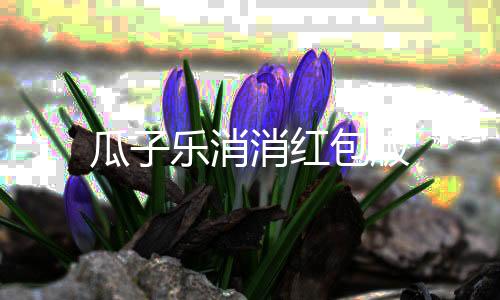 瓜子乐消消红包版下载
