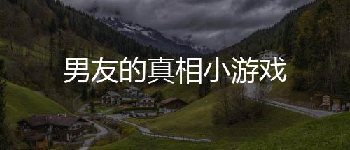 男友的真相小游戏下载