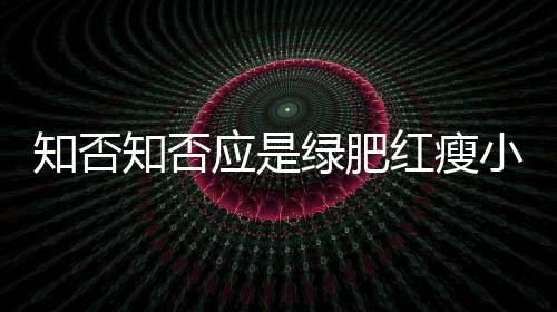 知否知否应是绿肥红瘦小游戏下载