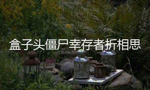 盒子头僵尸幸存者折相思版下载