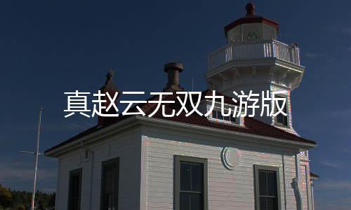 真赵云无双九游版下载