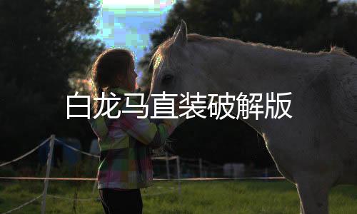 白龙马直装破解版下载