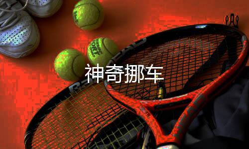 神奇挪车下载