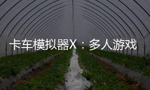 卡车模拟器X：多人游戏免广告下载