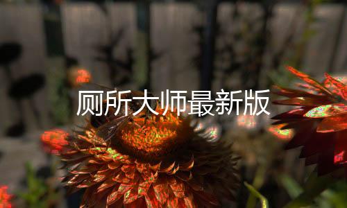 厕所大师最新版下载