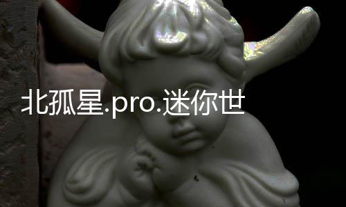北孤星.pro.迷你世界下载