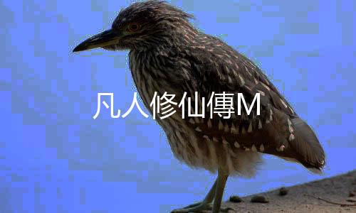 凡人修仙傳M下载