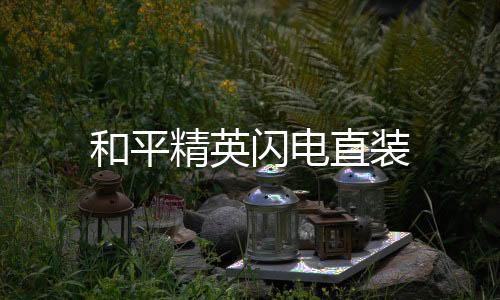 和平精英闪电直装下载