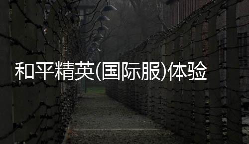 和平精英(国际服)体验服下载