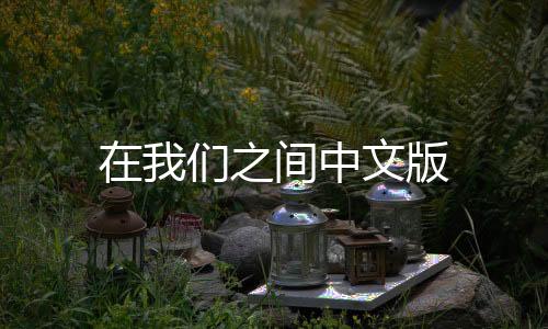 在我们之间中文版下载