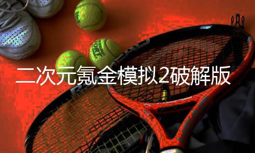 二次元氪金模拟2破解版下载