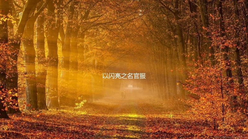 以闪亮之名官服下载