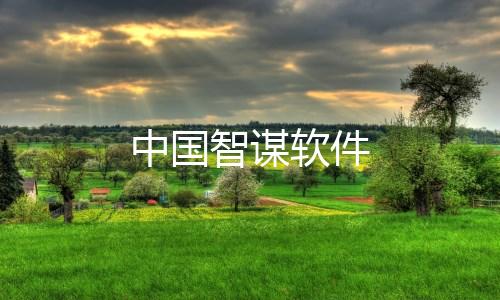 中国智谋软件下载