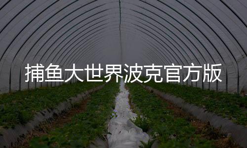 捕鱼大世界波克官方版下载