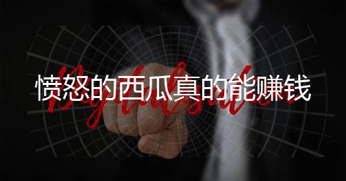 愤怒的西瓜真的能赚钱下载