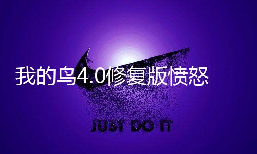 我的鸟4.0修复版愤怒的小鸟pvz版下载