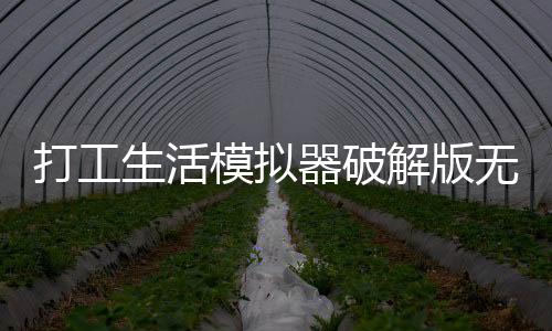 打工生活模拟器破解版无限钞票2025下载