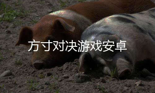 方寸对决游戏安卓下载