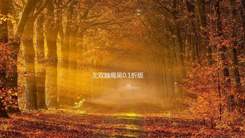 无双魏蜀吴0.1折版下载
