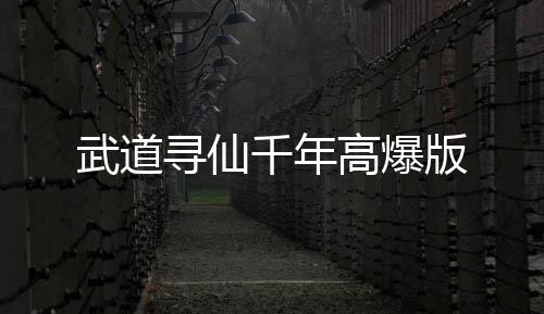 武道寻仙千年高爆版下载