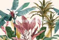 植物大战僵尸现代扩展版破解版