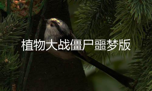 植物大战僵尸噩梦版下载