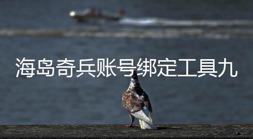 海岛奇兵账号绑定工具九游版下载