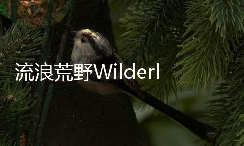 流浪荒野Wilderless免费版下载