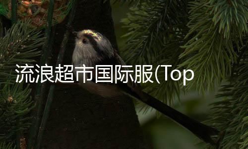 流浪超市国际服(Top castle)下载