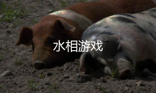 水相游戏下载