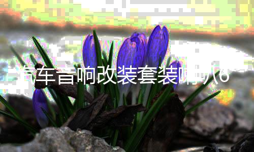 汽车音响改装套装喇叭6.5寸同轴重低音无损车载扬声器下载