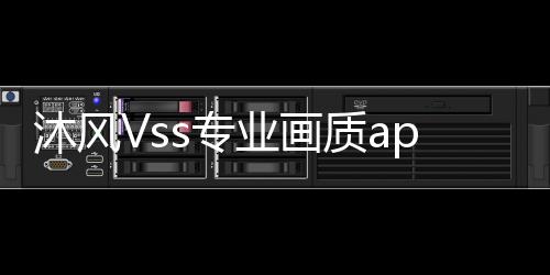 沐风Vss专业画质apk下载