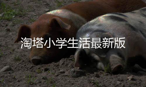 淘塔小学生活最新版下载
