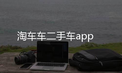淘车车二手车app下载