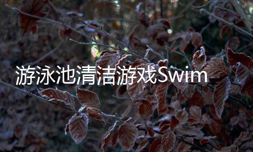 游泳池清洁游戏Swimming Pool Cleaning Games下载