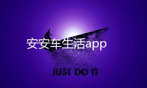 安安车生活app下载