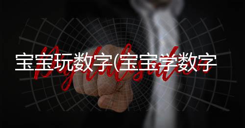 宝宝玩数字(宝宝学数字免费版)下载