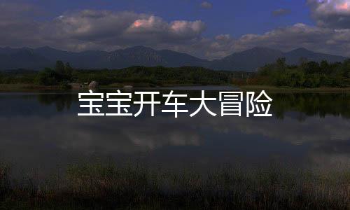 宝宝开车大冒险下载