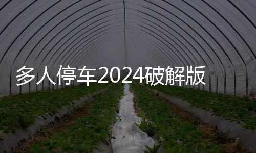 多人停车2024破解版最新版(Car Parking)下载