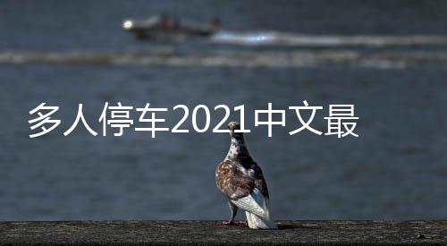 多人停车2021中文最新版下载
