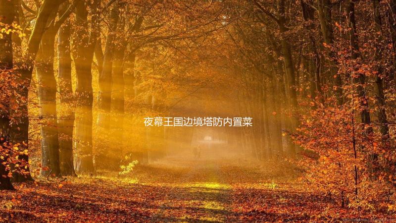 夜幕王国边境塔防内置菜单版下载
