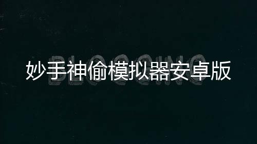 妙手神偷模拟器安卓版下载