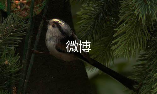 微博下载