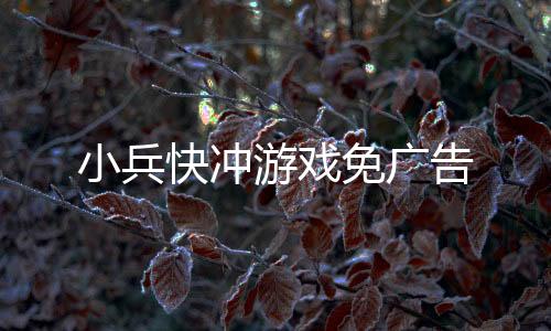 小兵快冲游戏免广告下载