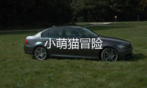 小萌猫冒险下载